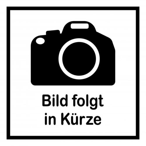 Fasnacht 2022